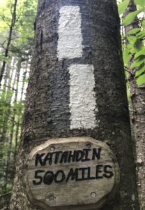 Long Trail: Day 7 (Mount Killington and the Hotel Dilemma)