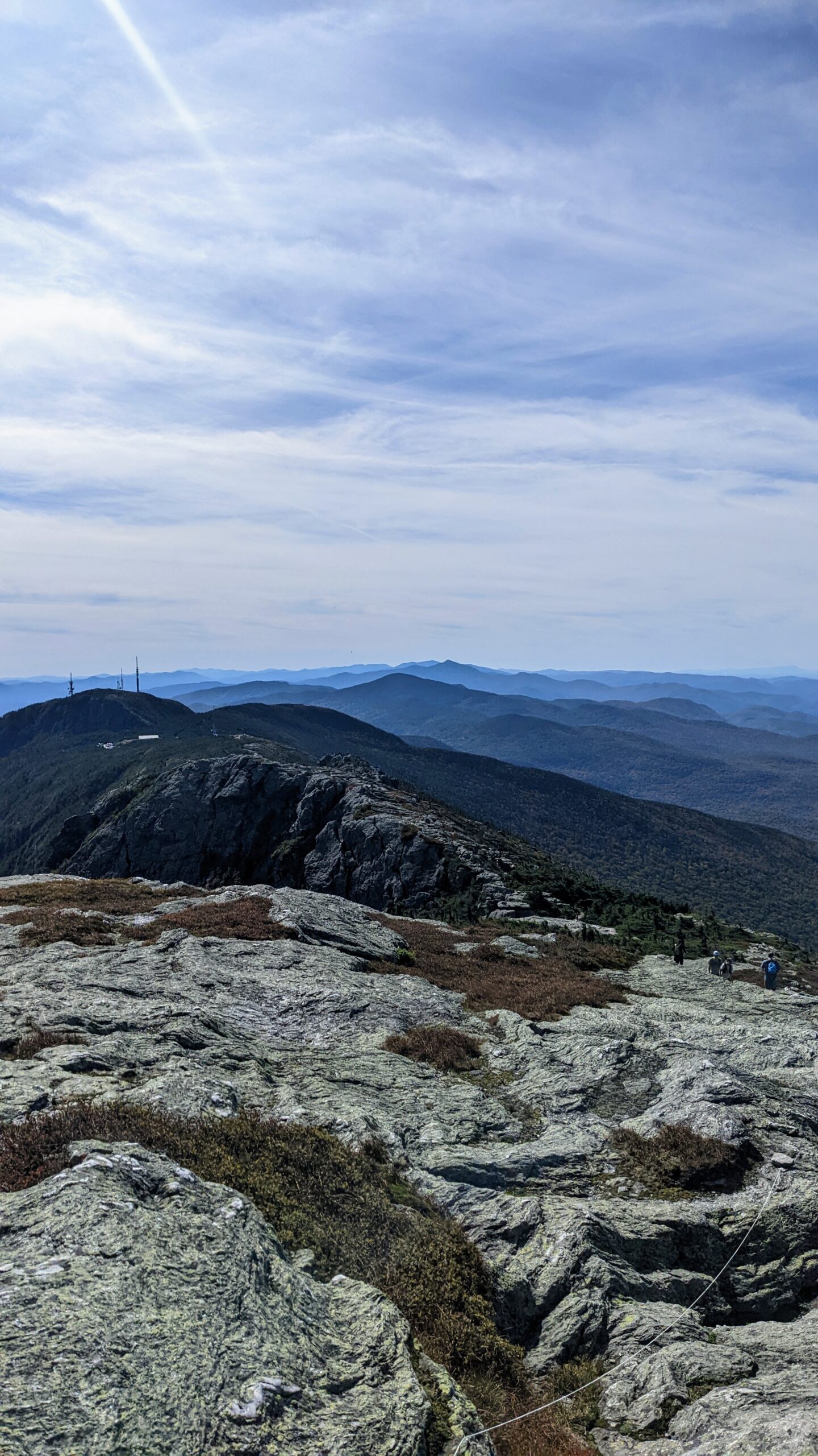 Mt. Mansfield's alpine zone