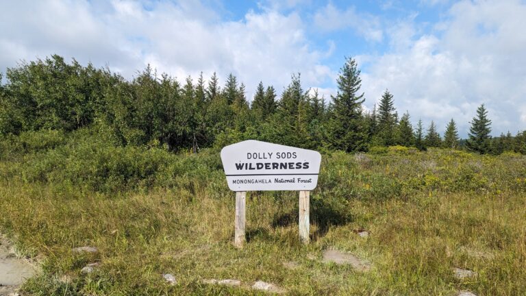 Dolly Sods Loop